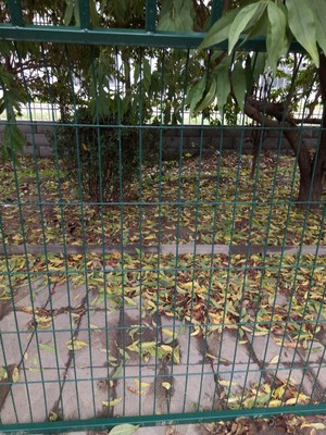 果園圍欄網 守護豐收的專屬衛士